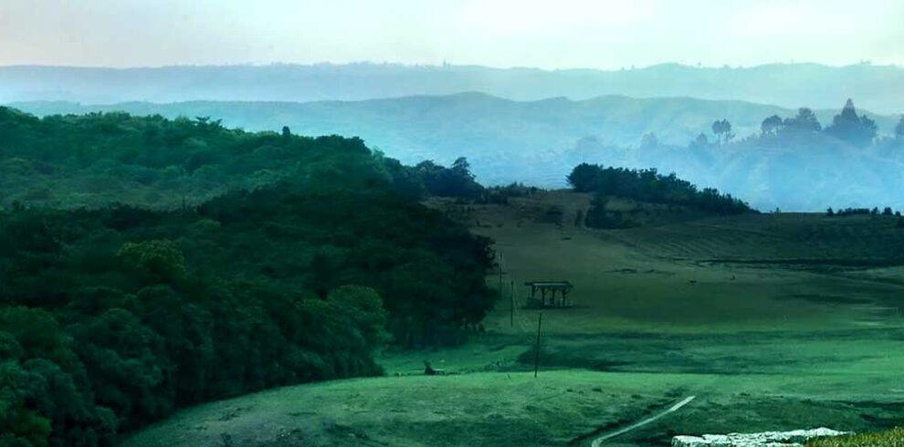 Mawphlang Sacred Forest Tour