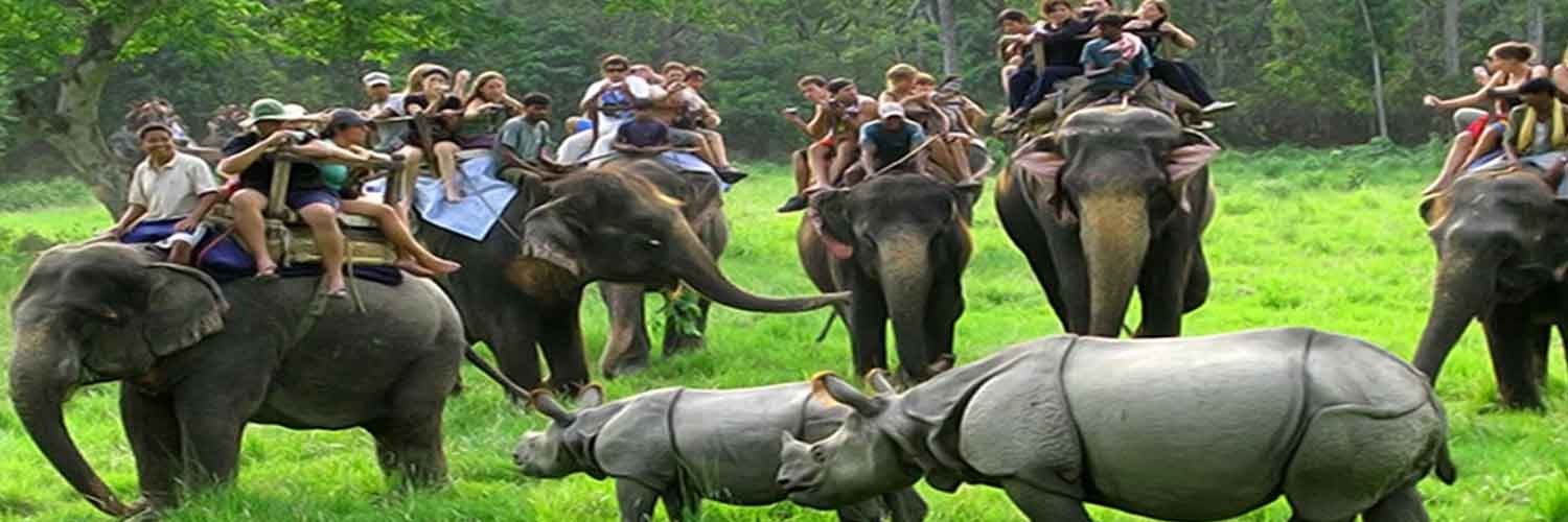 Kaziranga Jungle Safari Tour